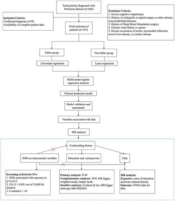 Risk factors for falls in Parkinson's disease: a cross-sectional observational and Mendelian randomization study